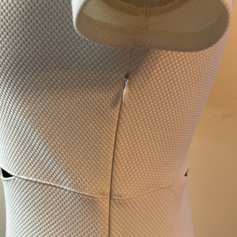 Express BodyCon Dress - Picture 7 of 11